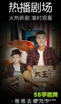 老狼窝在线视频官网下载,海量资源一网打尽，下载攻略全解析