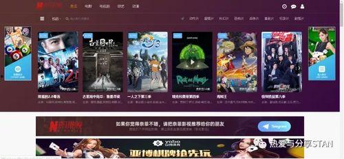 沉沦站长推荐在线视频,必看在线视频盘点