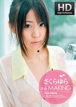 孽乳在线视频,揭秘网络伦理边缘的惊悚故事